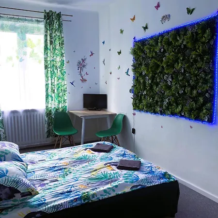 Appartamento Jungle