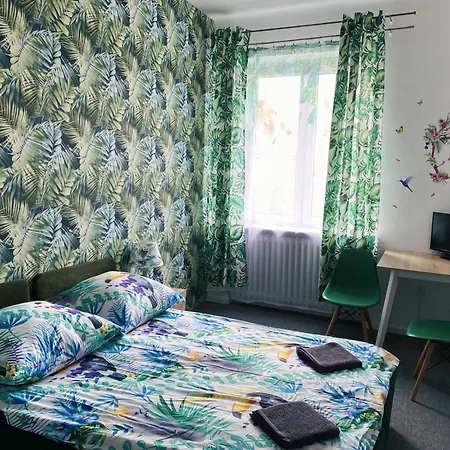 Appartamento Jungle