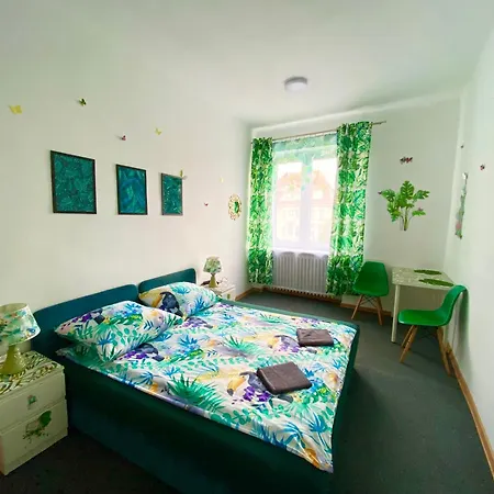 Jungle Danzica