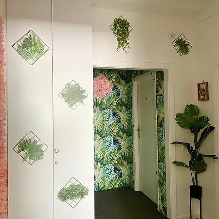 Jungle דירה גדנסק