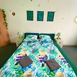 아파트 Jungle 그단스크