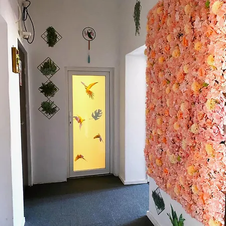 Appartement Jungle *