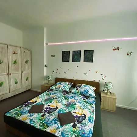 Jungle شقة *