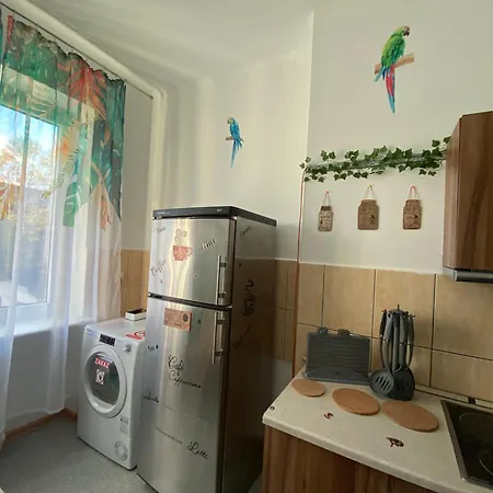 Jungle Gdańsk