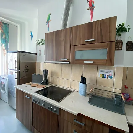 Appartement Jungle *