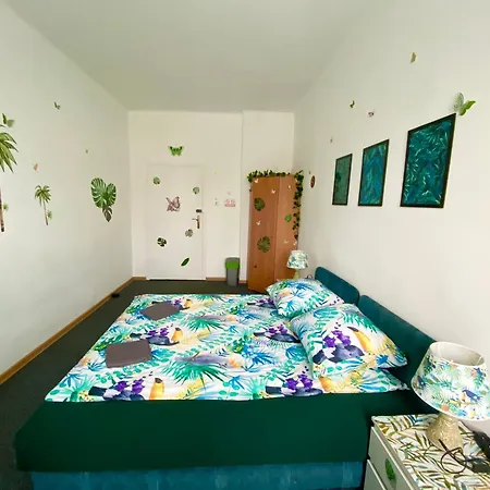 شقة Jungle *