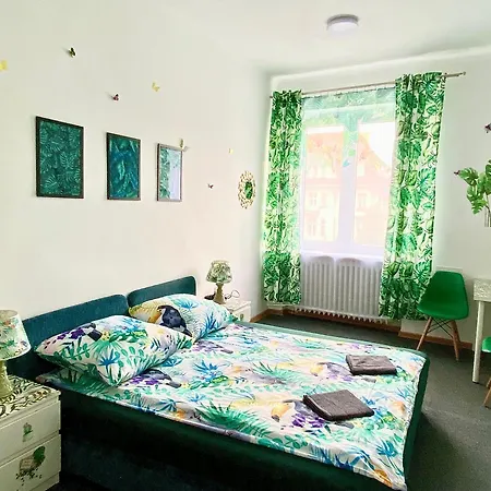 Jungle Gdańsk