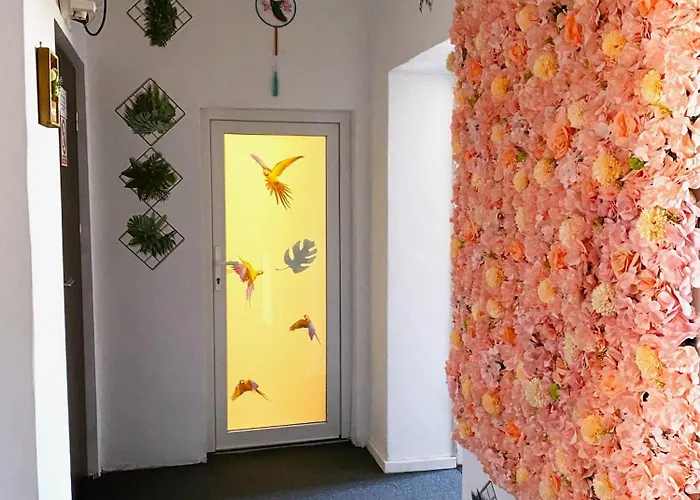 Appartement Jungle *