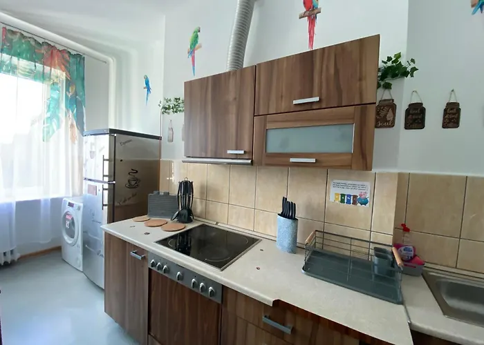 Appartement Jungle *